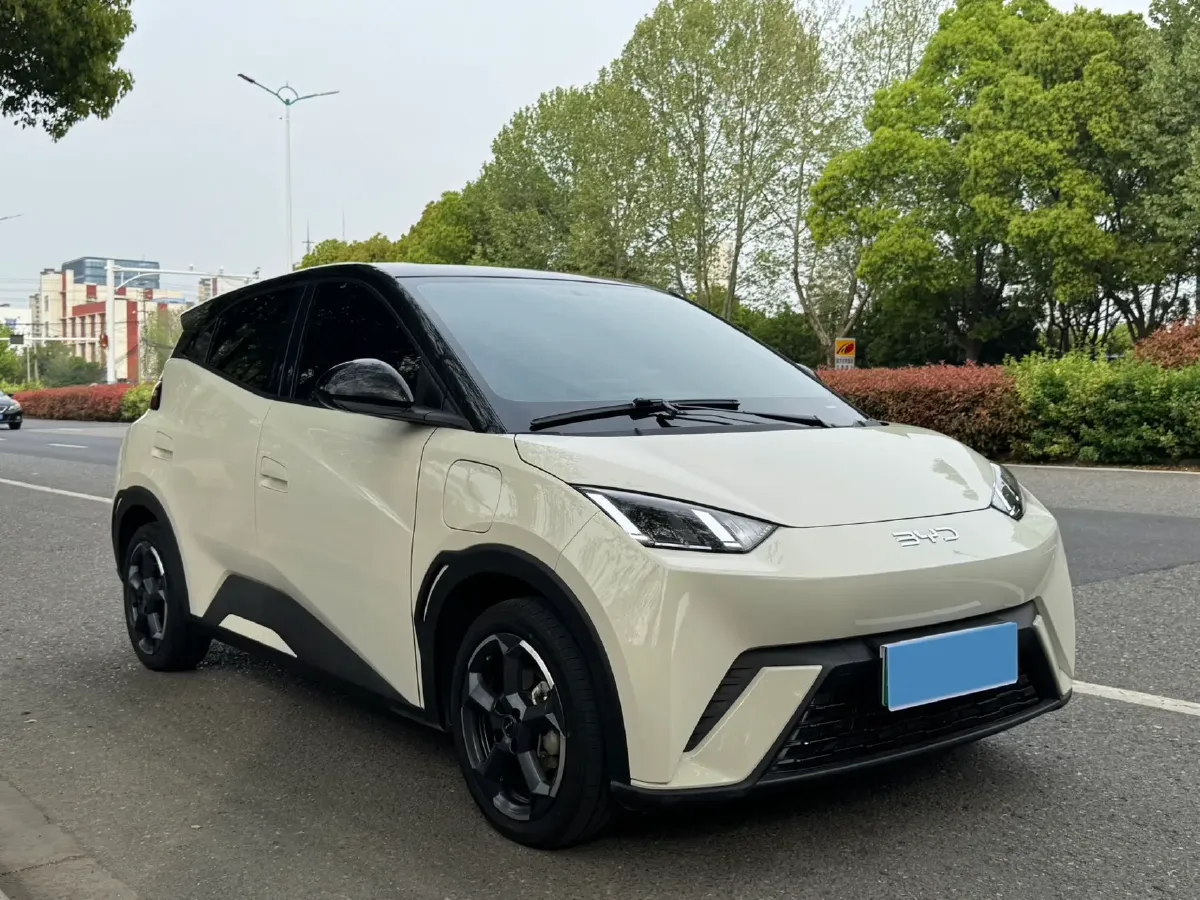 2024 BYD Seagull BEV 30.08KWH,autocango,china used car exporter,china ev exporter,chinese used car exporter,chinese used ev exporter