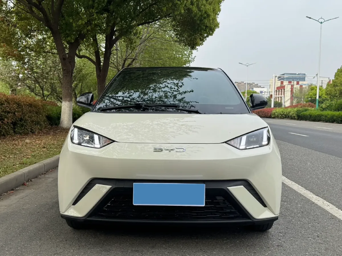 2024 BYD Seagull BEV 30.08KWH,autocango,china used car exporter,china ev exporter,chinese used car exporter,chinese used ev exporter