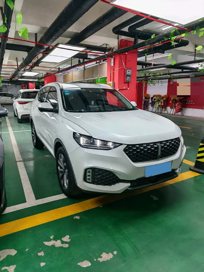 2020 WEY VV6 2.0T 227HP L4 7DCT,autocango,china used car exporter,china ev exporter,chinese used car exporter,chinese used ev exporter
