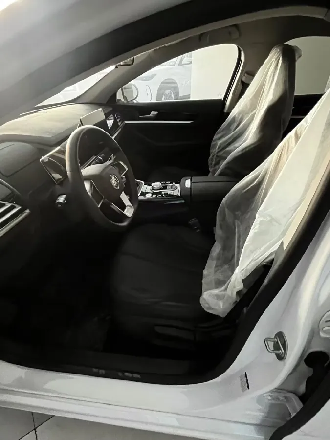 2021 BYD Qin BEV 53.56KWH,autocango,china used car exporter,china ev exporter,chinese used car exporter,chinese used ev exporter