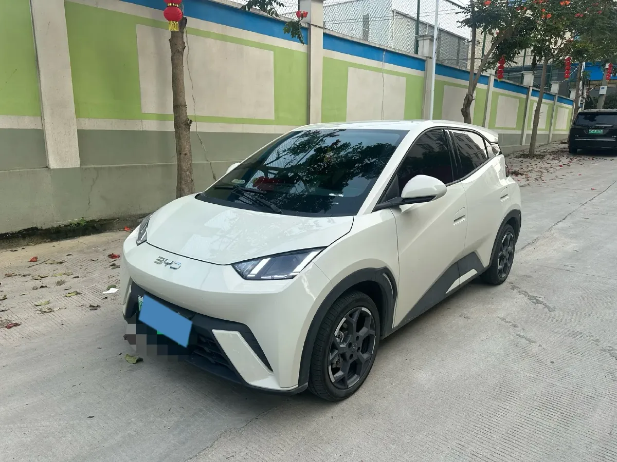 2024 BYD Seagull BEV 30.08KWH,autocango,china used car exporter,china ev exporter,chinese used car exporter,chinese used ev exporter