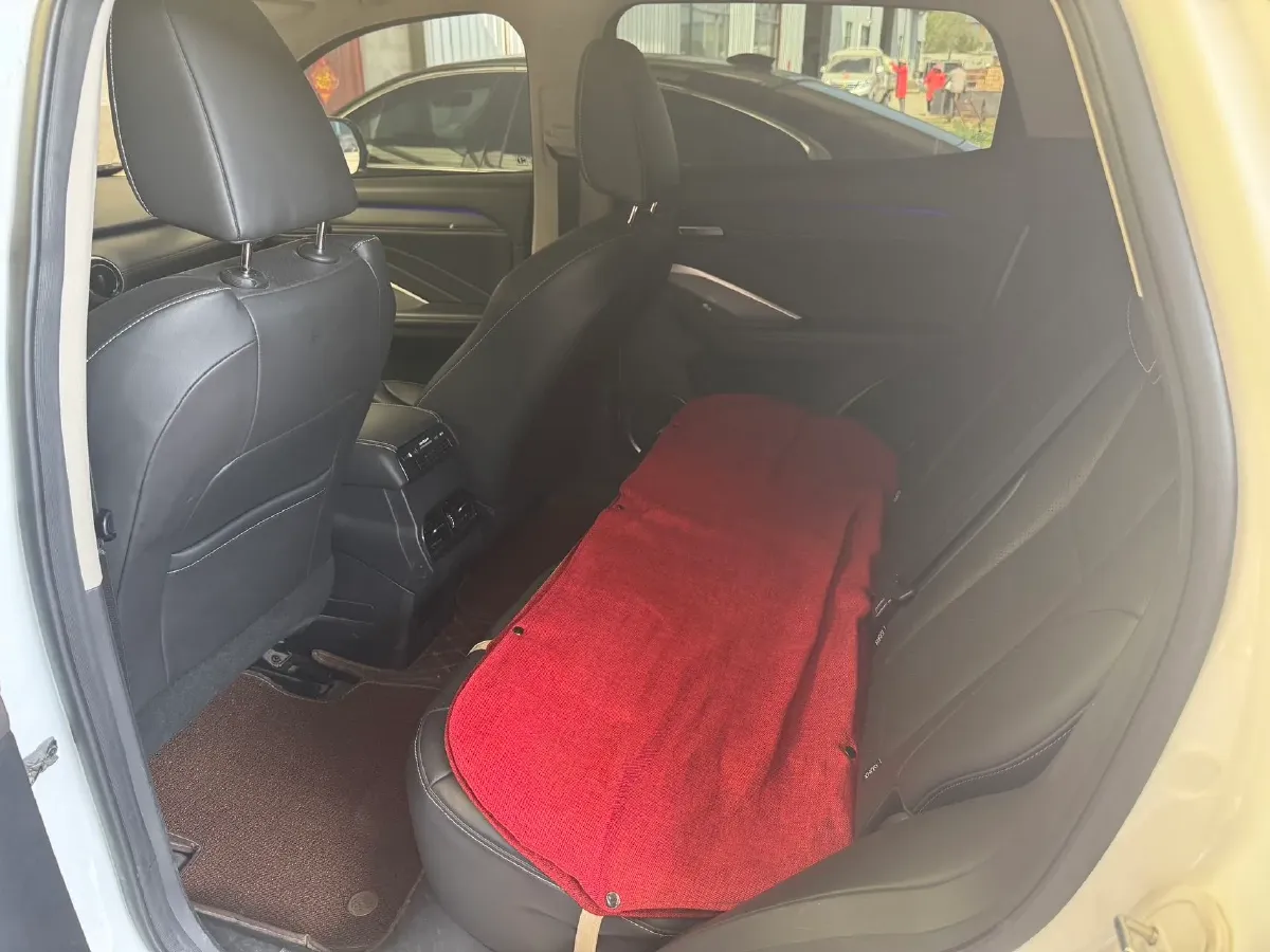 2020 WEY VV6 2.0T 227HP L4 7DCT,autocango,china used car exporter,china ev exporter,chinese used car exporter,chinese used ev exporter