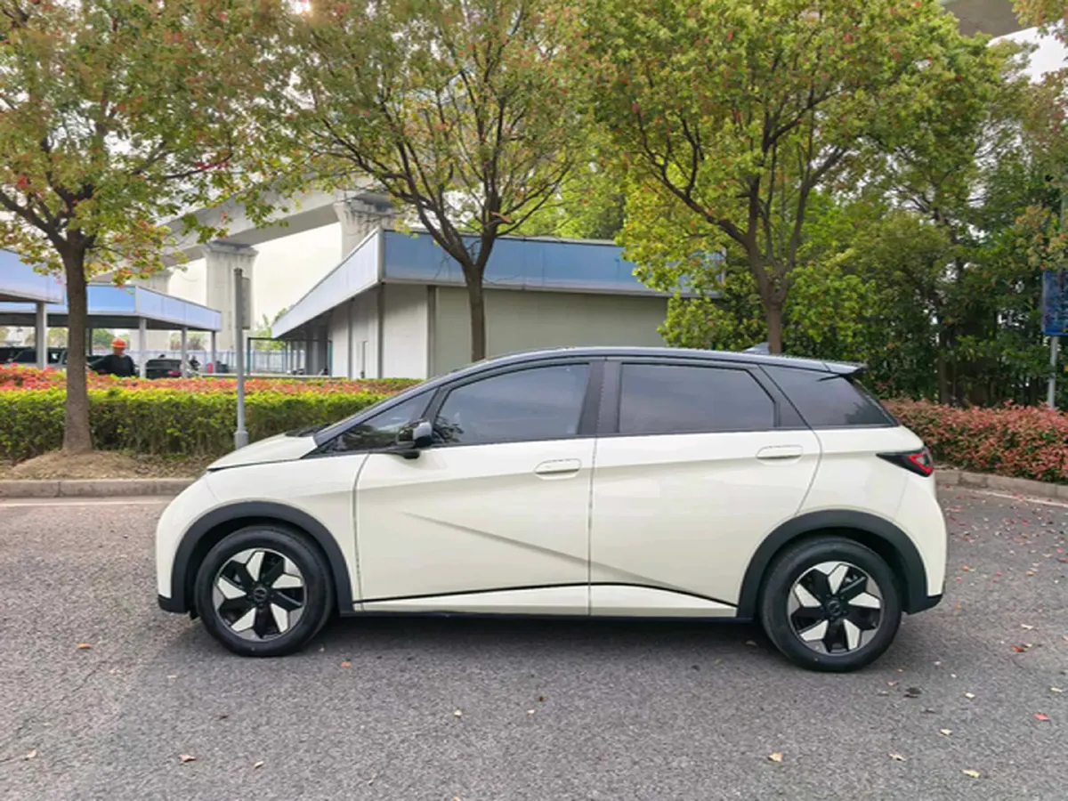 2025 BYD Dolphin BEV 44.928KWH,autocango,china used car exporter,china ev exporter,chinese used car exporter,chinese used ev exporter