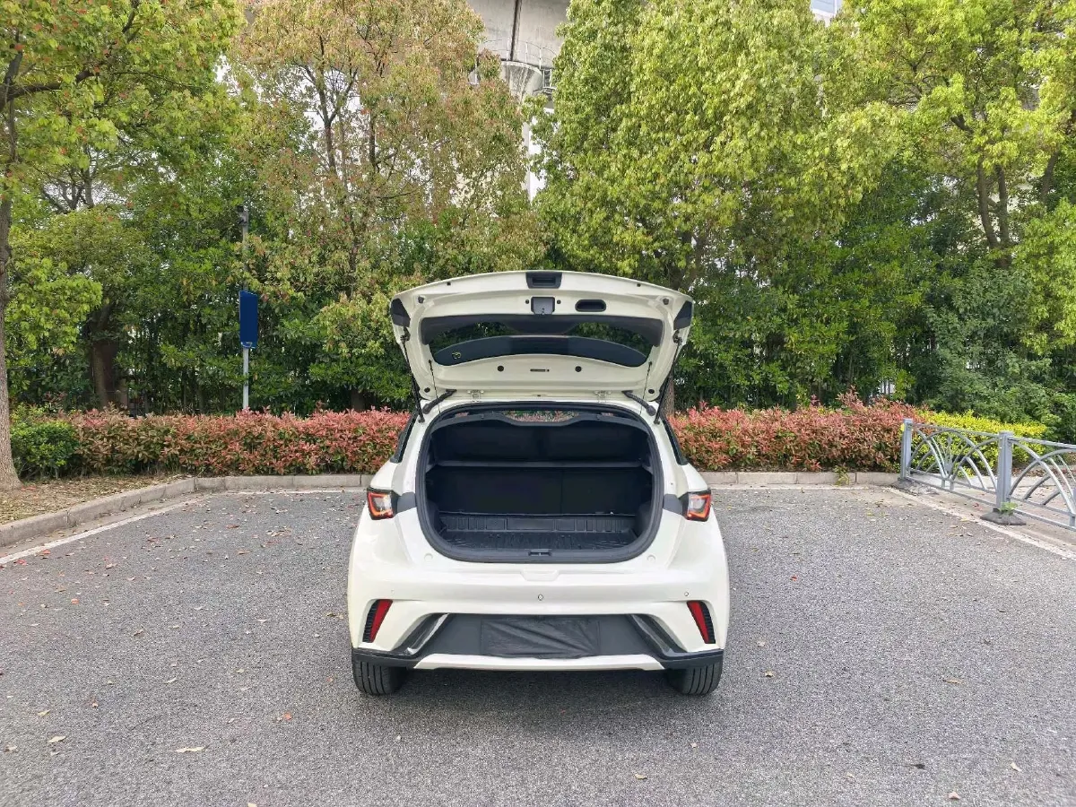 2025 BYD Dolphin BEV 44.928KWH,autocango,china used car exporter,china ev exporter,chinese used car exporter,chinese used ev exporter