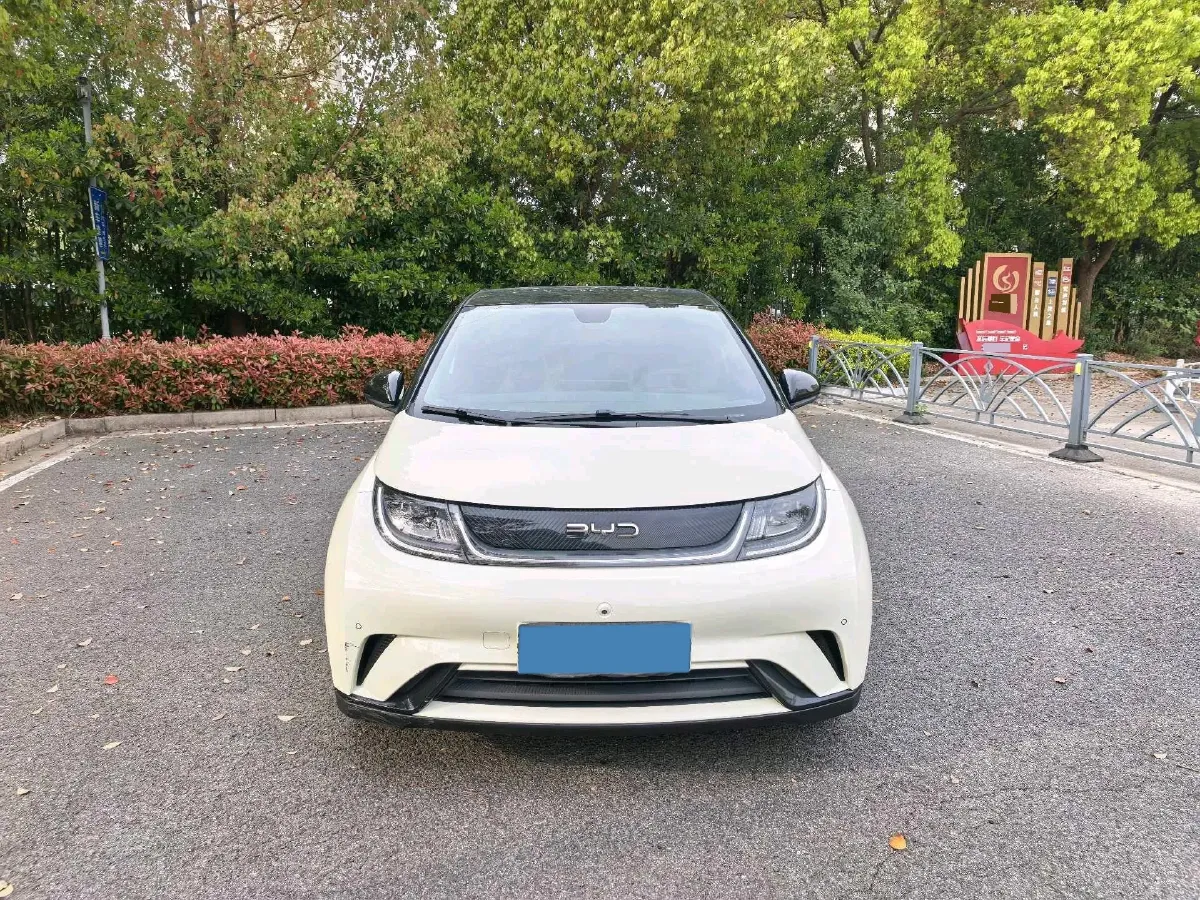 2025 BYD Dolphin BEV 44.928KWH,autocango,china used car exporter,china ev exporter,chinese used car exporter,chinese used ev exporter