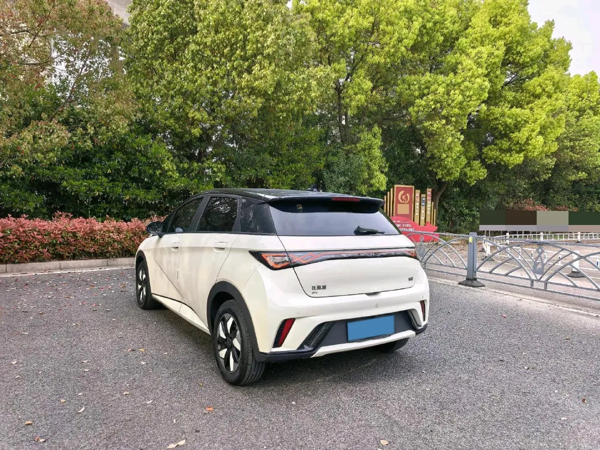 2025 BYD Dolphin BEV 44.928KWH,autocango,china used car exporter,china ev exporter,chinese used car exporter,chinese used ev exporter