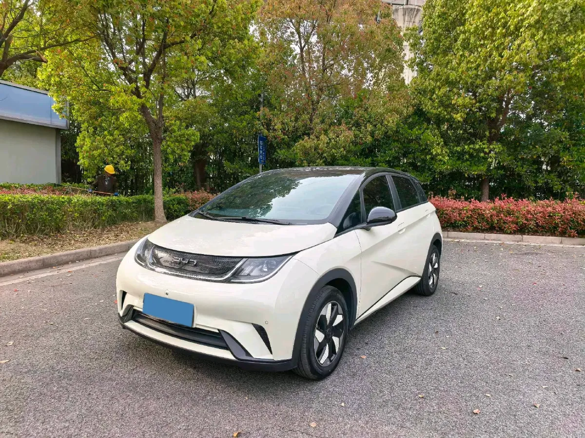2025 BYD Dolphin BEV 44.928KWH,autocango,china used car exporter,china ev exporter,chinese used car exporter,chinese used ev exporter