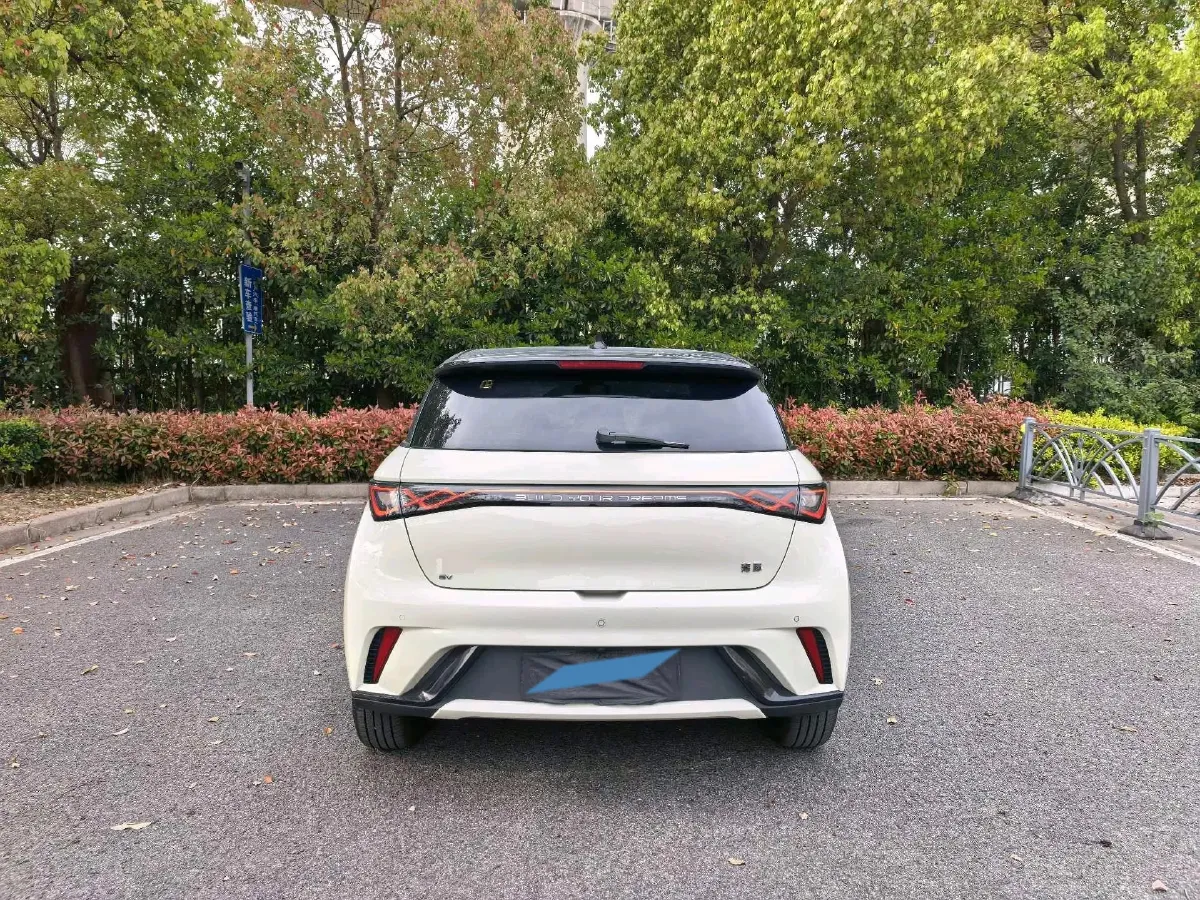 2025 BYD Dolphin BEV 44.928KWH,autocango,china used car exporter,china ev exporter,chinese used car exporter,chinese used ev exporter