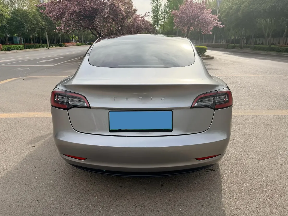 2021 Tesla Model 3 BEV 55KWH,autocango,china used car exporter,china ev exporter,chinese used car exporter,chinese used ev exporter