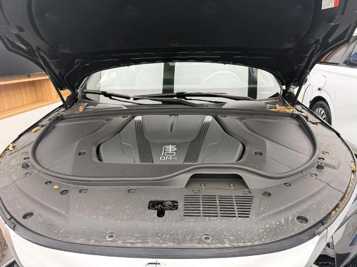 2025 BYD Tang 1.5T 156HP L4 E-CVT PHEV 21.504KWH,autocango,china used car exporter,china ev exporter,chinese used car exporter,chinese used ev exporter