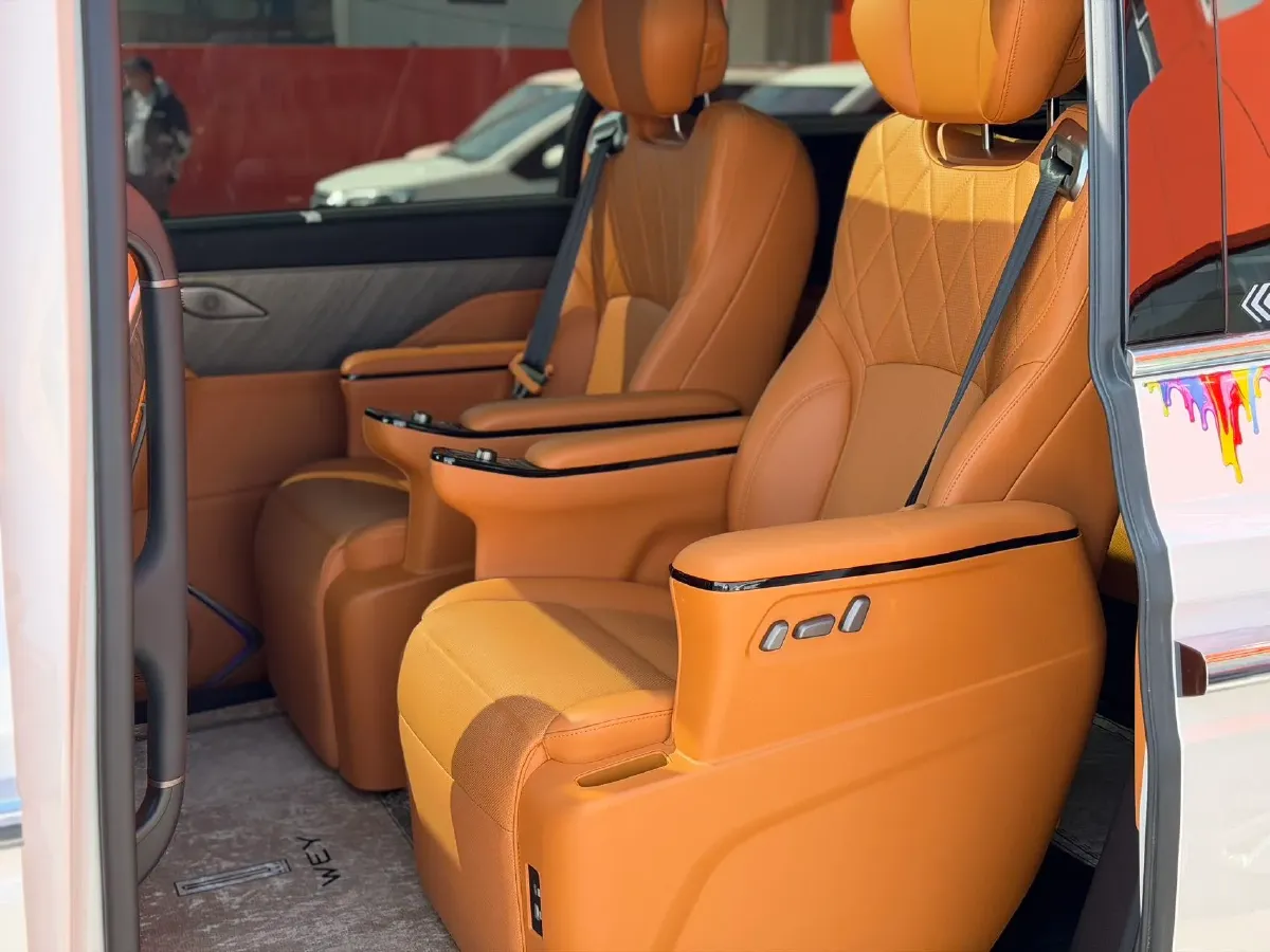 2025 WEY HighMountain 1.5T 170HP L4 4DHT PHEV,autocango,china used car exporter,china ev exporter,chinese used car exporter,chinese used ev exporter