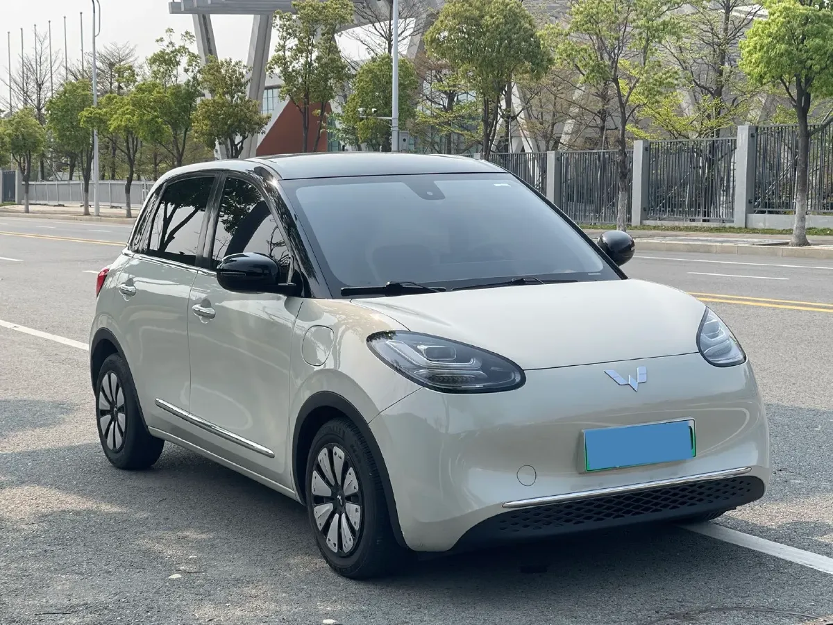 2023 WuLing BinGuo BEV 31.9KWH,autocango,china used car exporter,china ev exporter,chinese used car exporter,chinese used ev exporter
