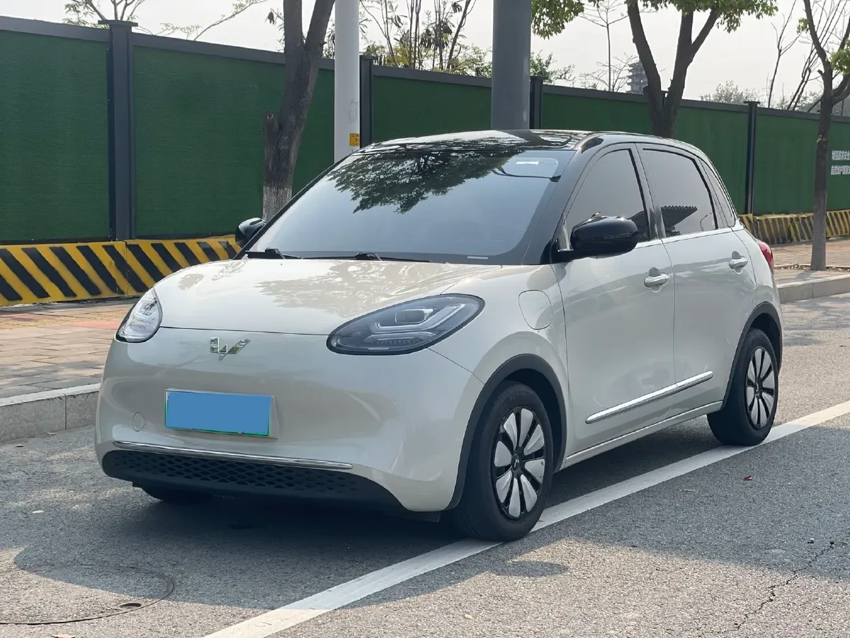 2023 WuLing BinGuo BEV 31.9KWH,autocango,china used car exporter,china ev exporter,chinese used car exporter,chinese used ev exporter