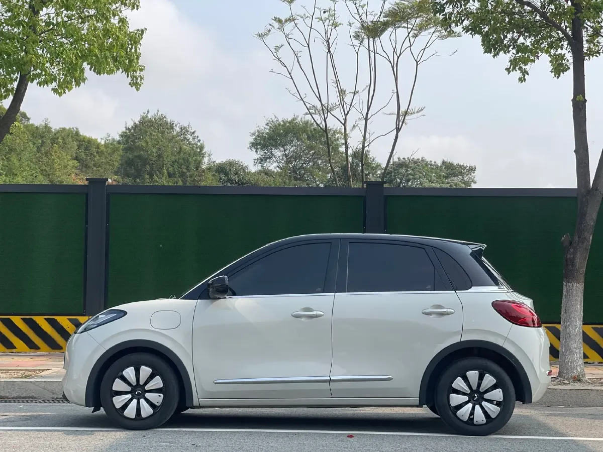 2023 WuLing BinGuo BEV 31.9KWH,autocango,china used car exporter,china ev exporter,chinese used car exporter,chinese used ev exporter