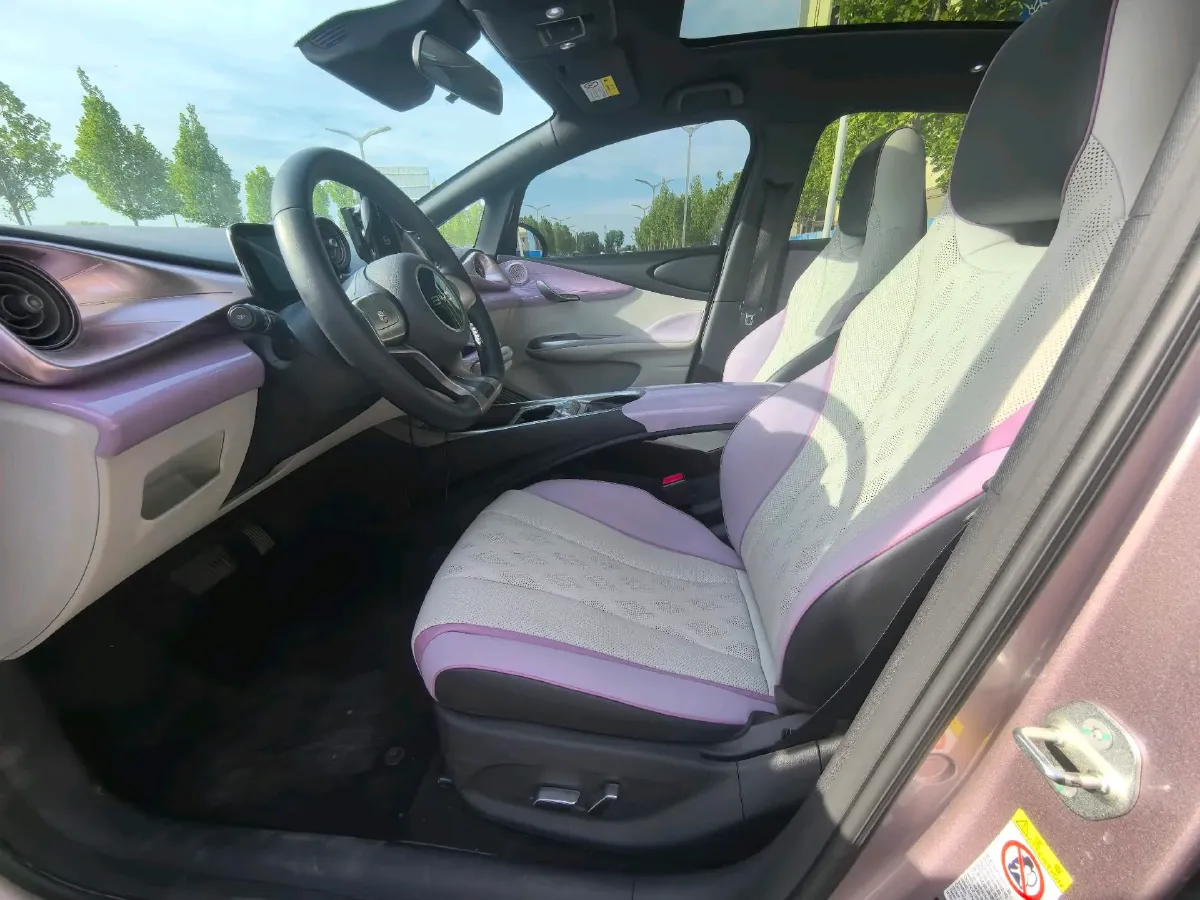 2025 BYD Dolphin BEV 60.48KWH,autocango,china used car exporter,china ev exporter,chinese used car exporter,chinese used ev exporter