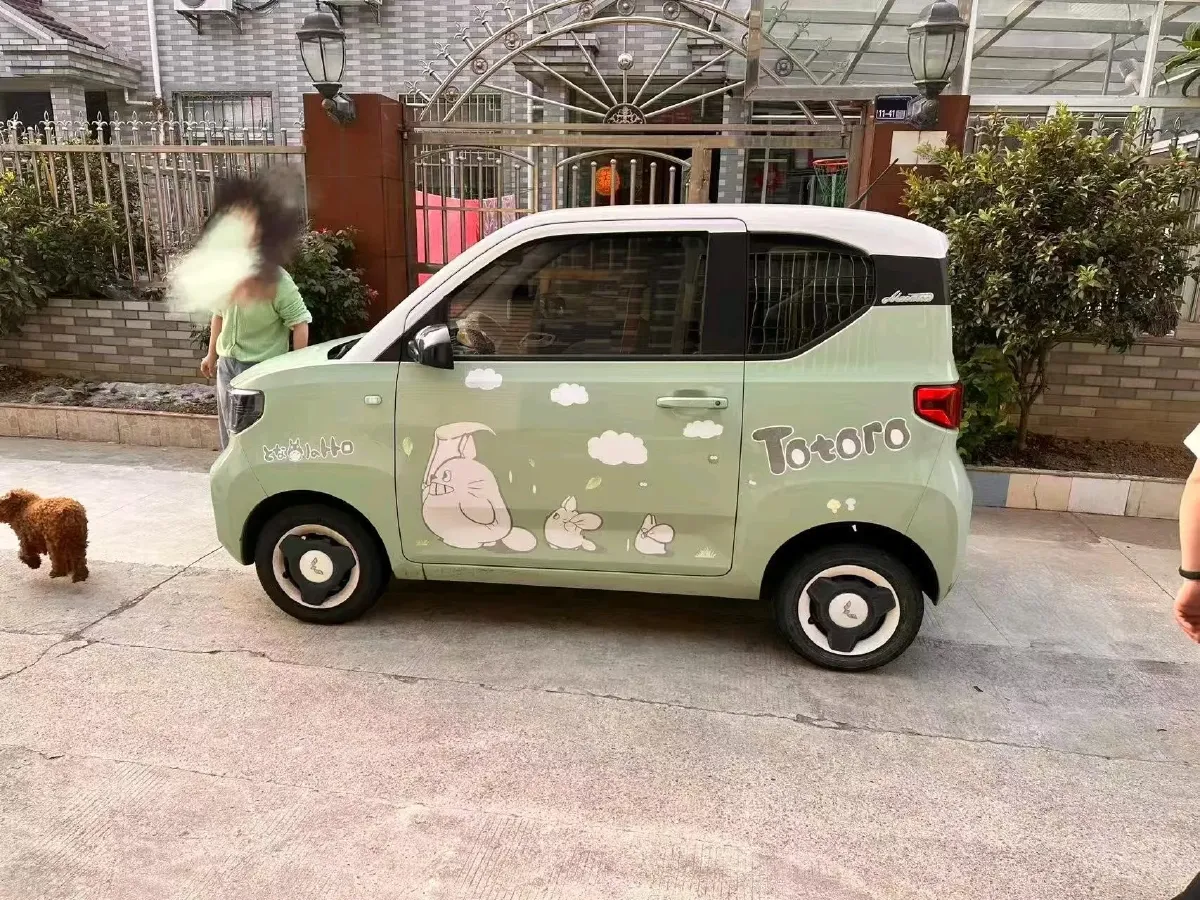 2021 WuLing HongGuang MINI EV BEV 13.8KWH,autocango,china used car exporter,china ev exporter,chinese used car exporter,chinese used ev exporter