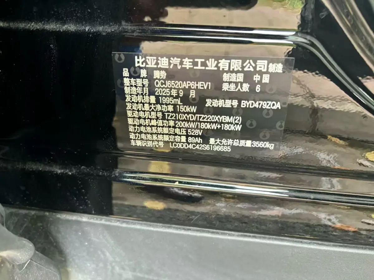 2025 Denza DenzaN8L 2.0T 207HP L4 E-CVT PHEV,autocango,china used car exporter,china ev exporter,chinese used car exporter,chinese used ev exporter