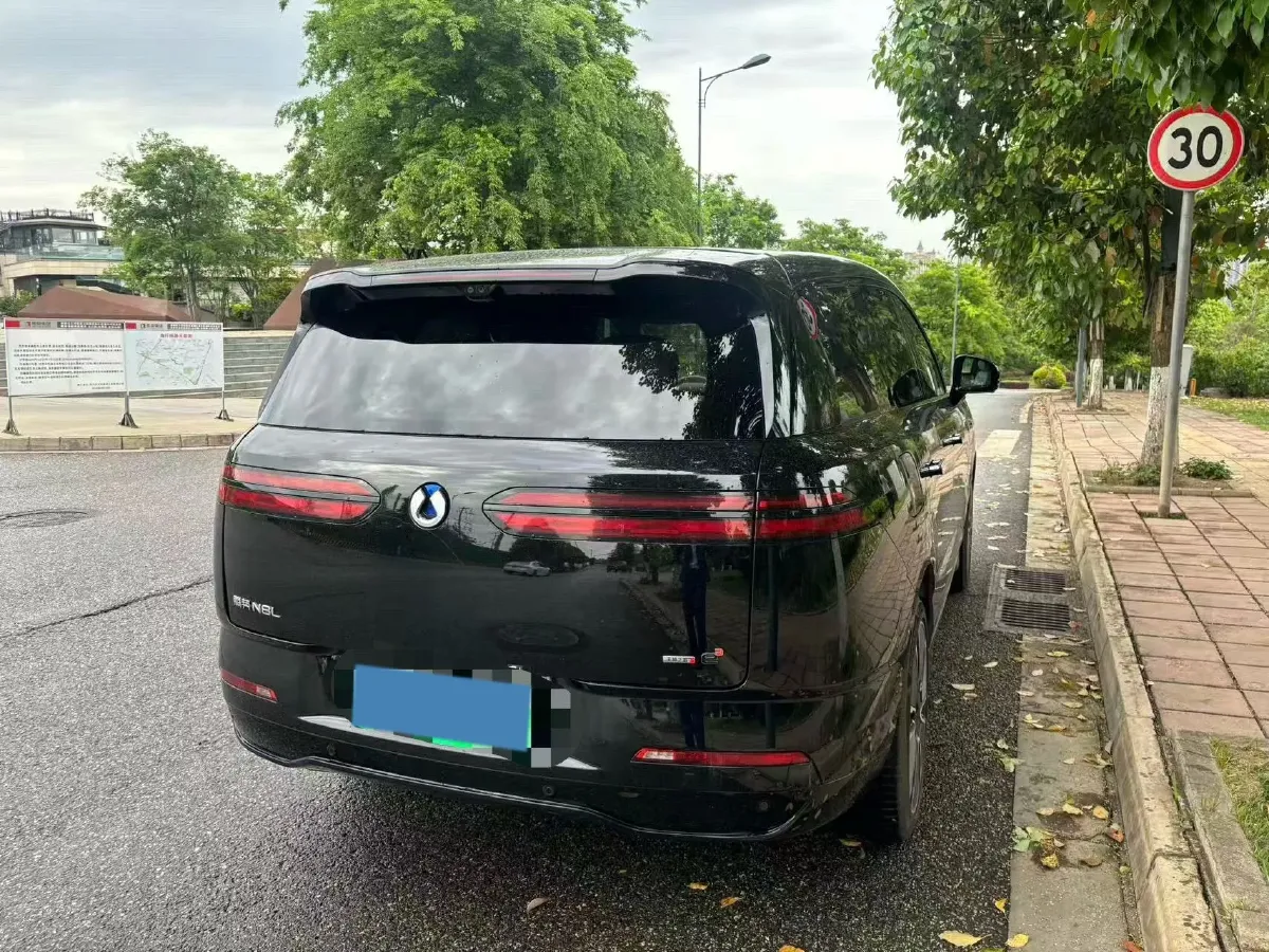 2025 Denza DenzaN8L 2.0T 207HP L4 E-CVT PHEV,autocango,china used car exporter,china ev exporter,chinese used car exporter,chinese used ev exporter