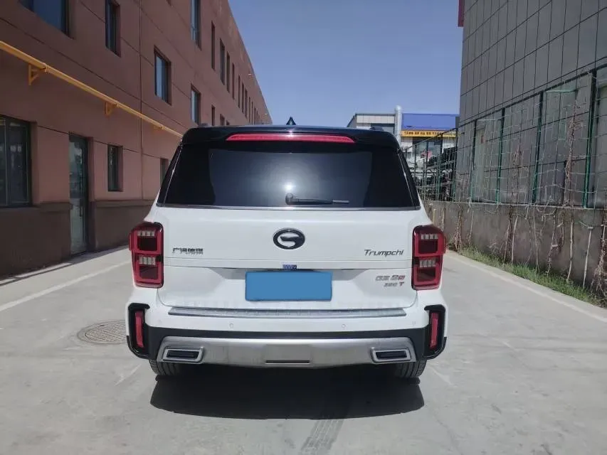 2020 GAC Trumpchi GS8 2.0T 252HP L4 6AT,autocango,china used car exporter,china ev exporter,chinese used car exporter,chinese used ev exporter