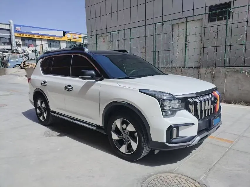 2020 GAC Trumpchi GS8 2.0T 252HP L4 6AT,autocango,china used car exporter,china ev exporter,chinese used car exporter,chinese used ev exporter