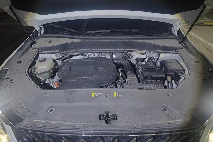 2025 GAC Trumpchi GS8 2.0T 252HP L4 8AT,autocango,china used car exporter,china ev exporter,chinese used car exporter,chinese used ev exporter