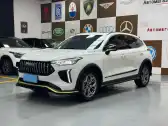 2022 HAVAL RABBIT,autocango,china used car exporter,china ev exporter,chinese used car exporter,chinese used ev exporter