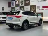 2022 Haval Rabbit 1.5T 150HP L4 7DCT