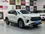 2022 Haval Rabbit 1.5T 150HP L4 7DCT