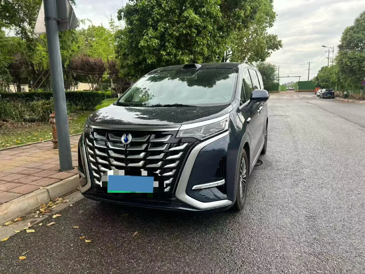 2025 Denza D9 1.5T 156HP L4 E-CVT PHEV 40KWH,autocango,china used car exporter,china ev exporter,chinese used car exporter,chinese used ev exporter