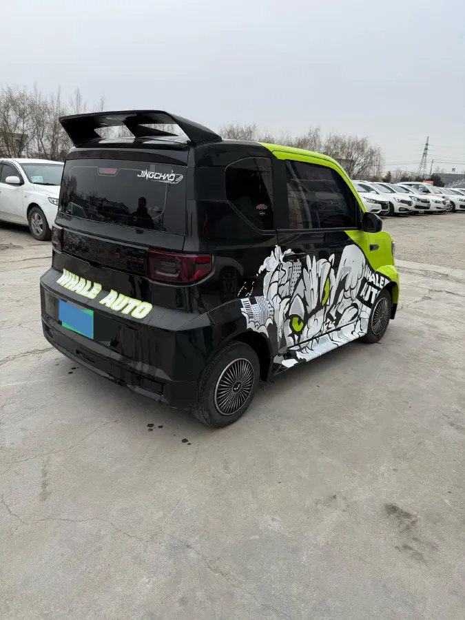 2021 WuLing HongGuang MINI EV BEV 9.3KWH,autocango,china used car exporter,china ev exporter,chinese used car exporter,chinese used ev exporter