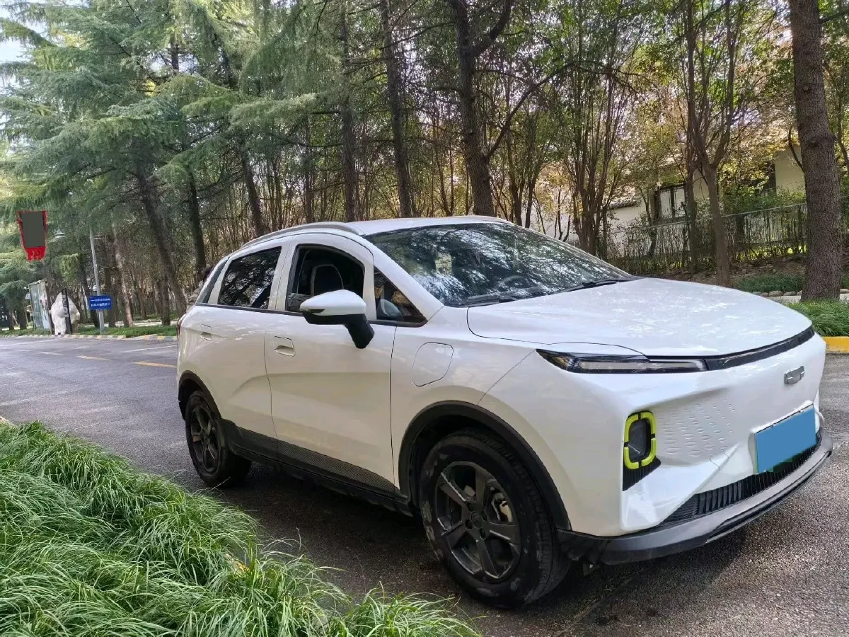 2022 Geometry E BEV 33.5KWH,autocango,china used car exporter,china ev exporter,chinese used car exporter,chinese used ev exporter
