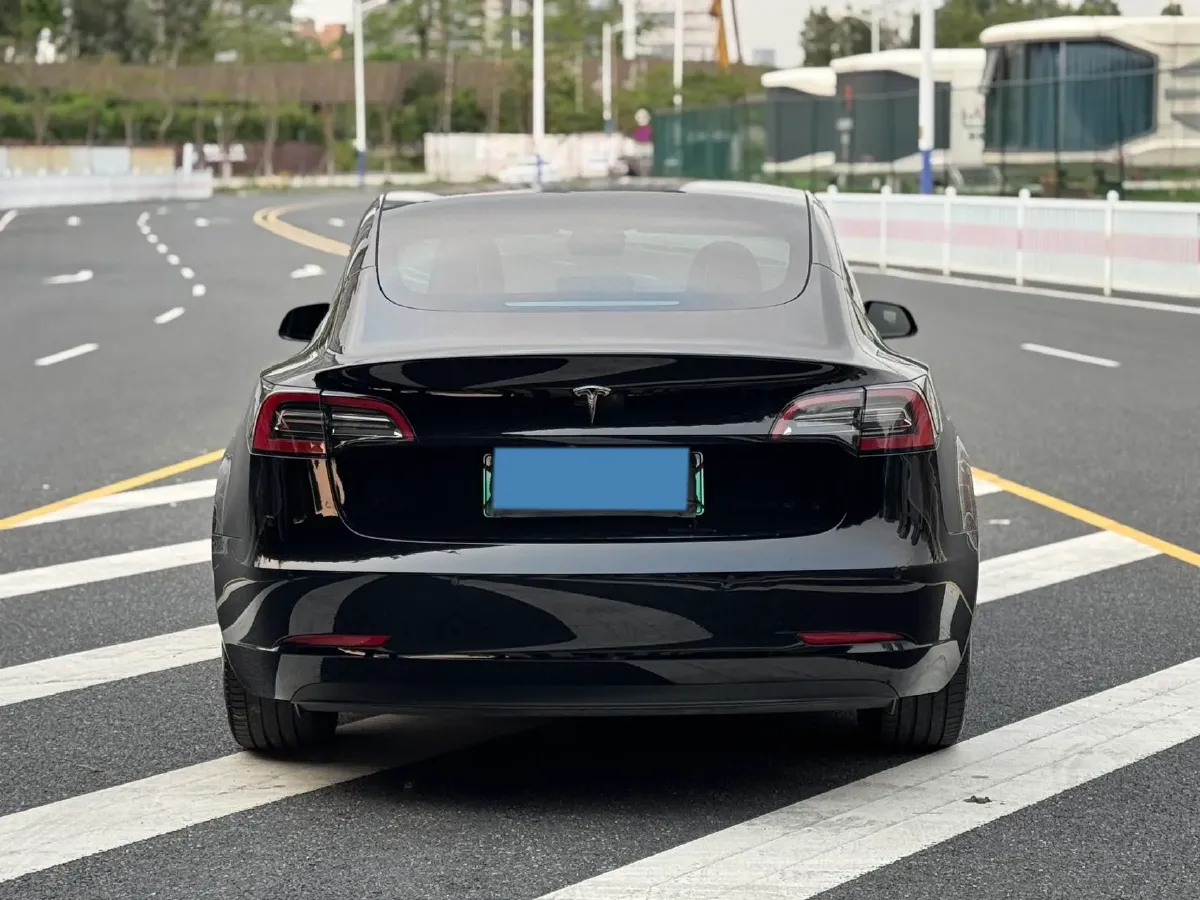 2021 Tesla Model 3 BEV 55KWH,autocango,china used car exporter,china ev exporter,chinese used car exporter,chinese used ev exporter