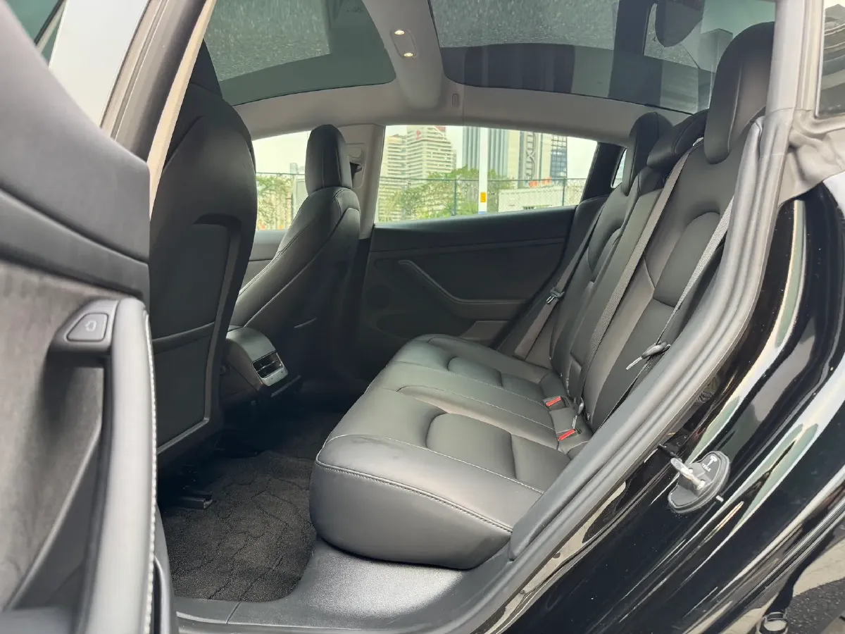 2021 Tesla Model 3 BEV 55KWH,autocango,china used car exporter,china ev exporter,chinese used car exporter,chinese used ev exporter