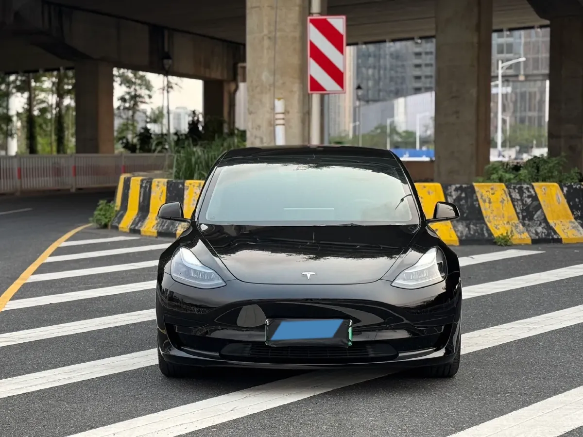 2021 Tesla Model 3 BEV 55KWH,autocango,china used car exporter,china ev exporter,chinese used car exporter,chinese used ev exporter
