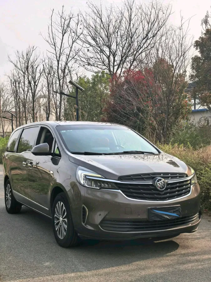 2021 Buick GL8 2.0T 237HP L4 9AT,autocango,china used car exporter,china ev exporter,chinese used car exporter,chinese used ev exporter