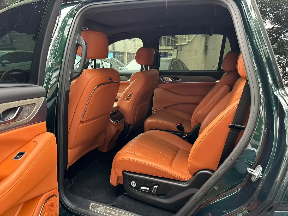 2023 WEY BlueMountain 1.5T 154HP L4 2DHT PHEV 44.5KWH,autocango,china used car exporter,china ev exporter,chinese used car exporter,chinese used ev exporter