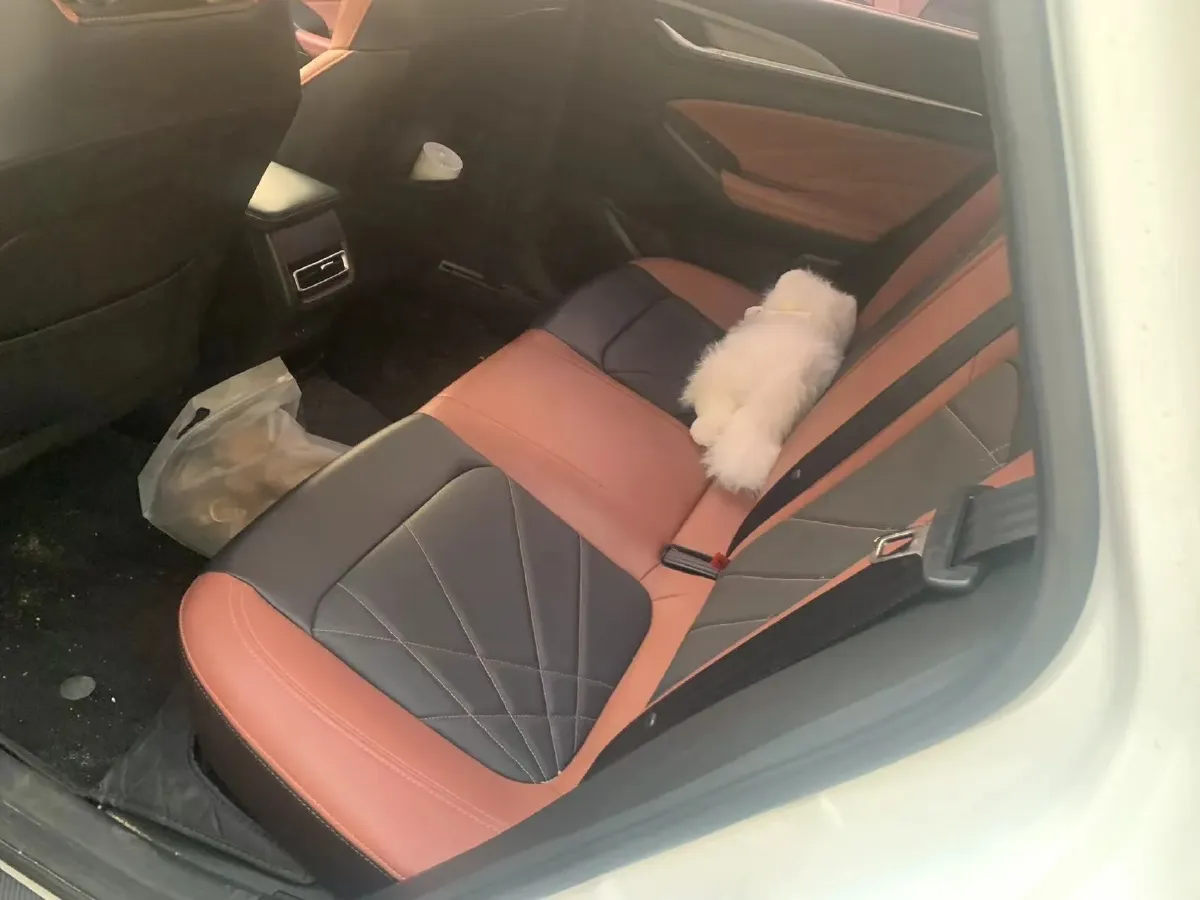 2023 ChangAn Eado 1.4T 160HP L4 7DCT,autocango,china used car exporter,china ev exporter,chinese used car exporter,chinese used ev exporter