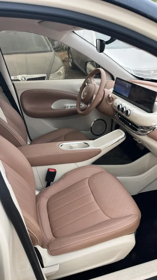 2025 WuLing BinGuo BEV,autocango,china used car exporter,china ev exporter,chinese used car exporter,chinese used ev exporter