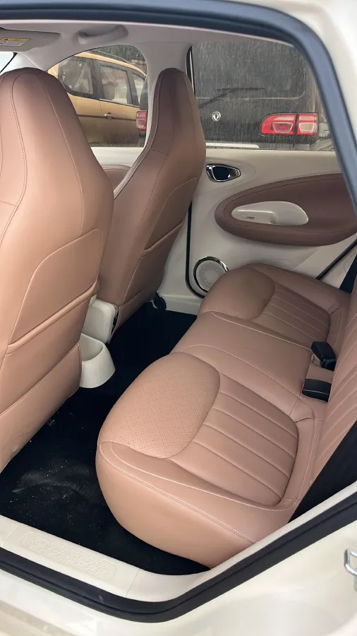 2025 WuLing BinGuo BEV,autocango,china used car exporter,china ev exporter,chinese used car exporter,chinese used ev exporter