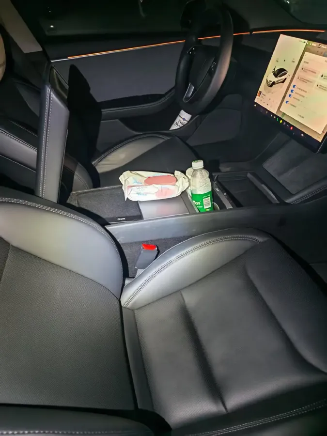 2025 Tesla Model 3 BEV,autocango,china used car exporter,china ev exporter,chinese used car exporter,chinese used ev exporter