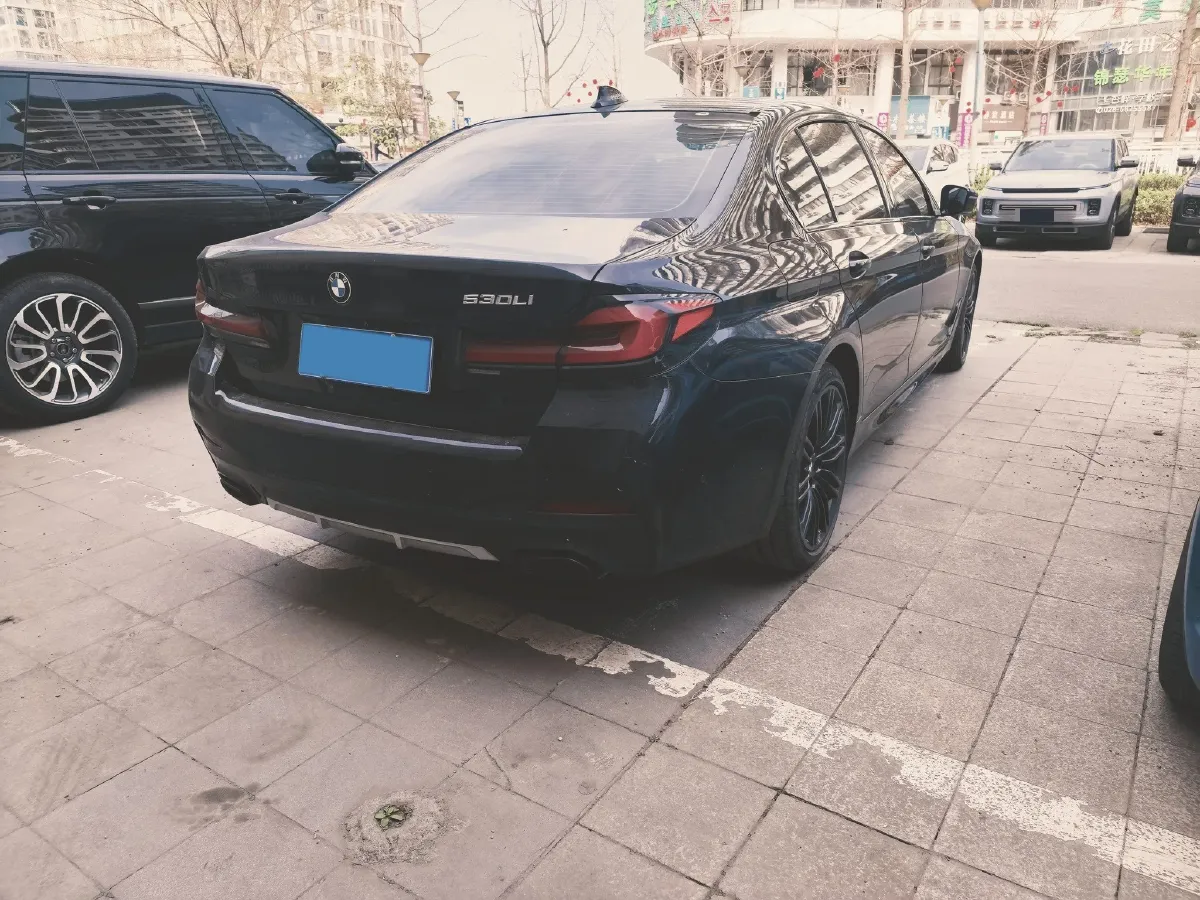 2021 BMW 5 Series 2.0T 252HP L4 8AT,autocango,china used car exporter,china ev exporter,chinese used car exporter,chinese used ev exporter