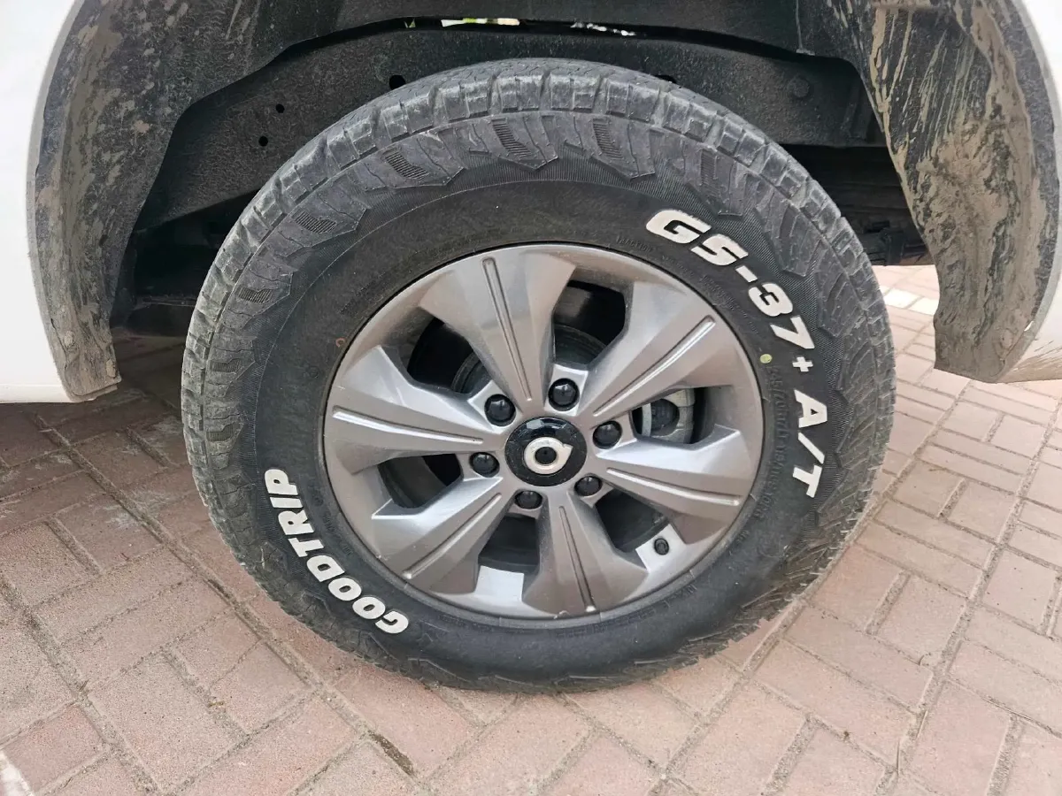 2023 Great Wall Poer 2.0T 166HP L4 8AT,autocango,china used car exporter,china ev exporter,chinese used car exporter,chinese used ev exporter