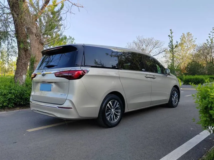 2020 Buick GL8 2.0T 237HP L4 9AT,autocango,china used car exporter,china ev exporter,chinese used car exporter,chinese used ev exporter