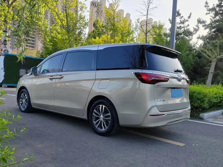 2020 Buick GL8 2.0T 237HP L4 9AT,autocango,china used car exporter,china ev exporter,chinese used car exporter,chinese used ev exporter