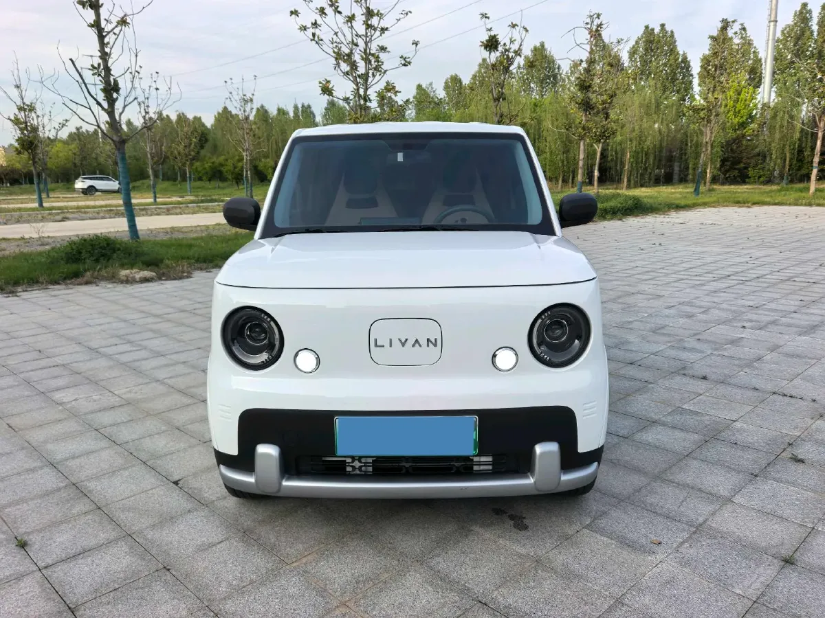 2025 Geely Lanqiqiu BEV,autocango,china used car exporter,china ev exporter,chinese used car exporter,chinese used ev exporter