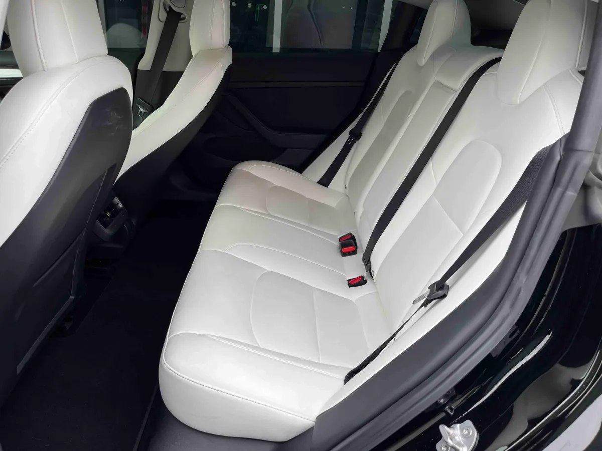 2021 Tesla Model 3 BEV 76.8KWH,autocango,china used car exporter,china ev exporter,chinese used car exporter,chinese used ev exporter