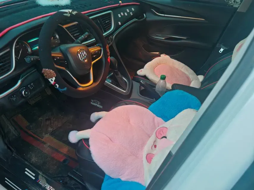 2021 Buick Excelle 1.5L 113HP L4 6AT,autocango,china used car exporter,china ev exporter,chinese used car exporter,chinese used ev exporter