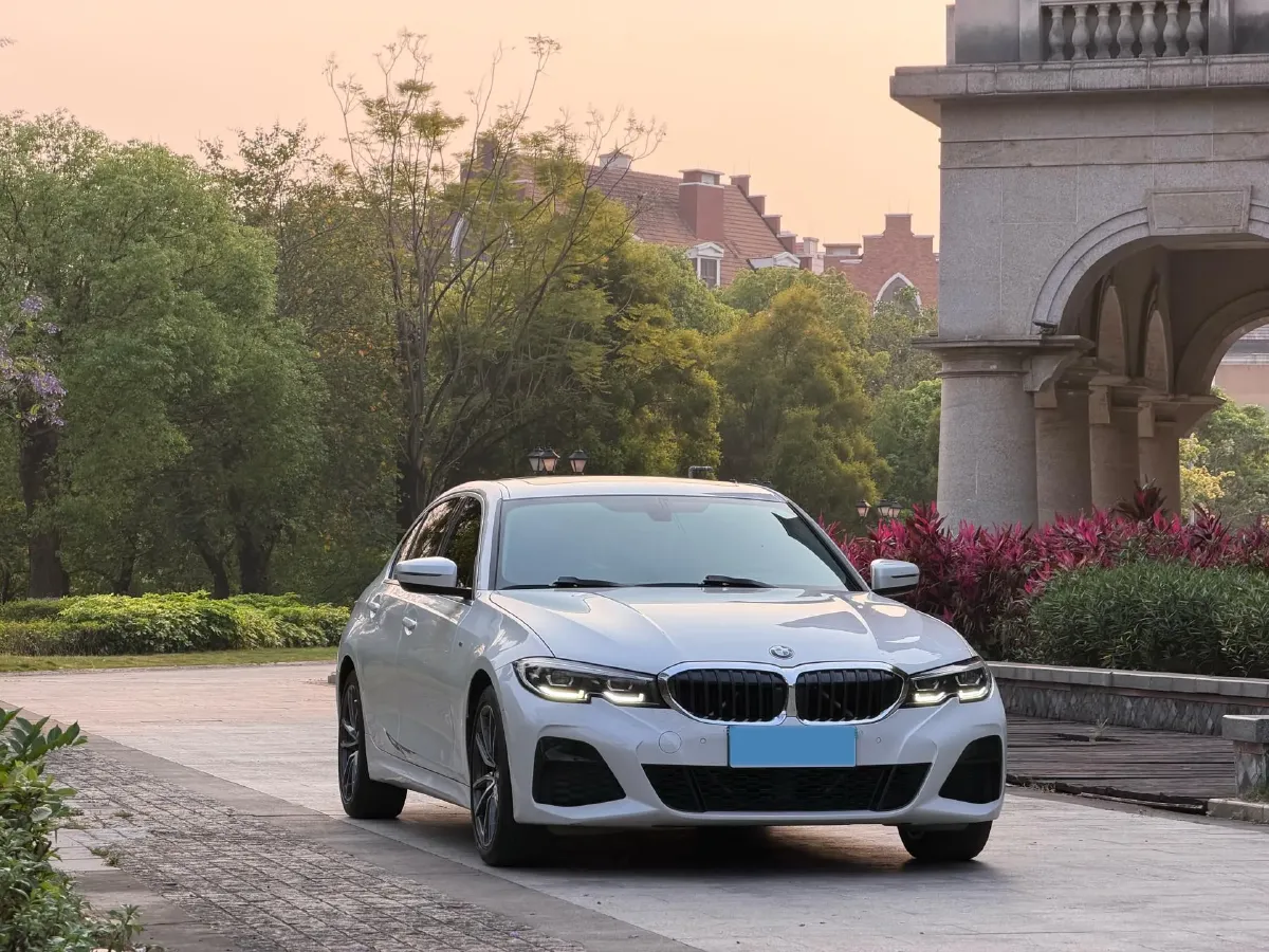 2020 BMW 3 Series 2.0T 156HP L4 8AT,autocango,china used car exporter,china ev exporter,chinese used car exporter,chinese used ev exporter