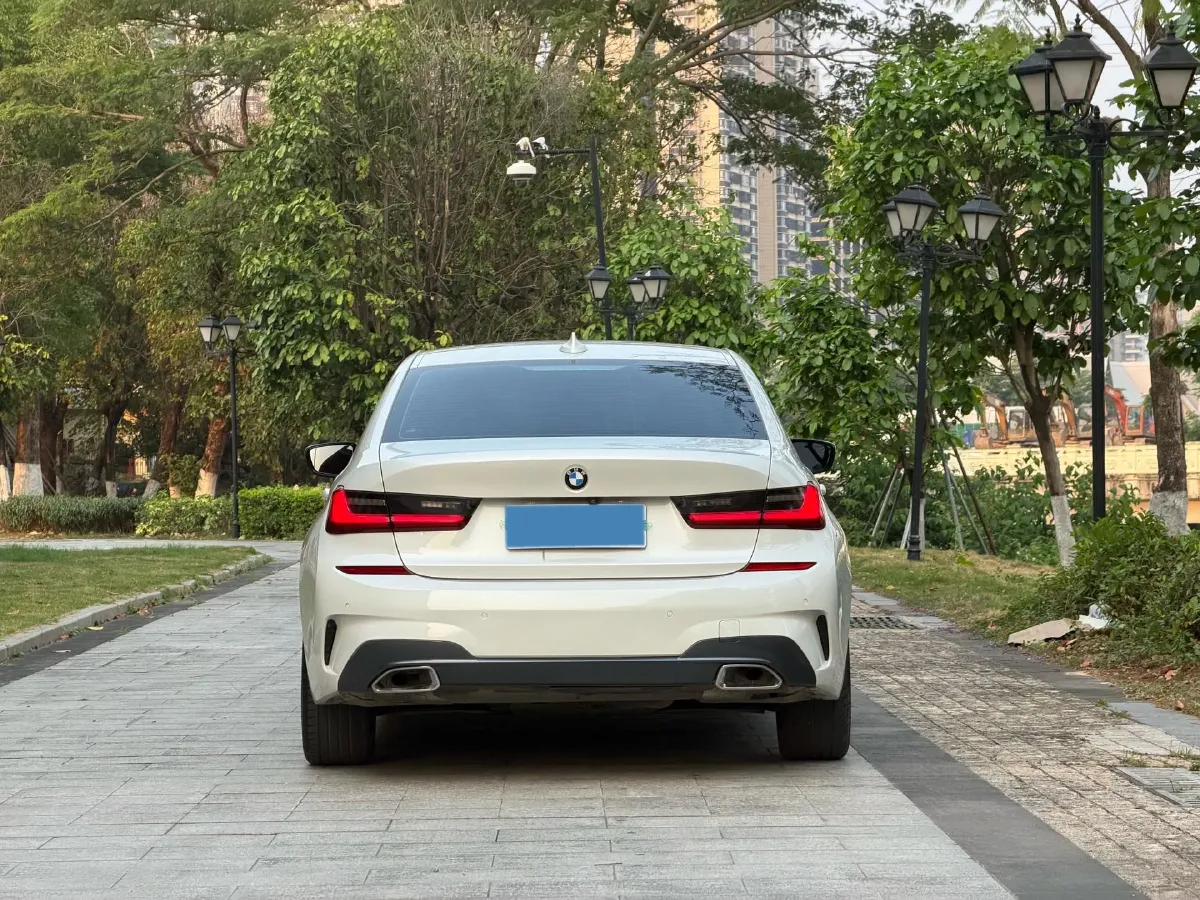 2020 BMW 3 Series 2.0T 156HP L4 8AT,autocango,china used car exporter,china ev exporter,chinese used car exporter,chinese used ev exporter