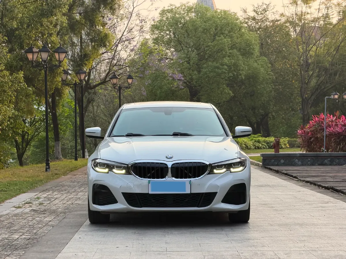 2020 BMW 3 Series 2.0T 156HP L4 8AT,autocango,china used car exporter,china ev exporter,chinese used car exporter,chinese used ev exporter